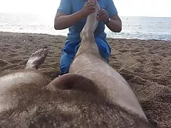 Обнаженная массаж на пляже