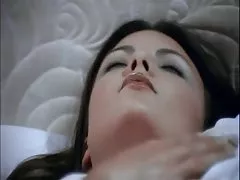 Gator 133