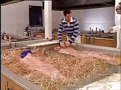 Немецкий клон Фарм... f70
