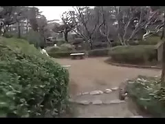 JPN порно горячи ИФОМ