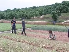Тайвань порно 6