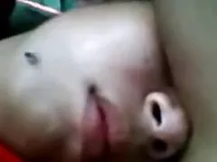 Экскурсии по краю леса