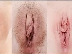 Bracksam специальные pussy показать