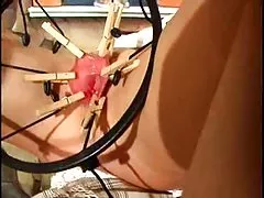 Ренессанс киска использование