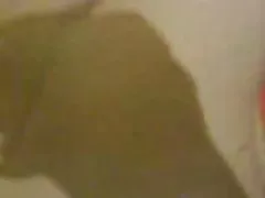 Turbanli Турецкая хиджаб