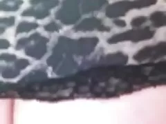 Томпсон диких