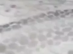 Турецкий язык в спину