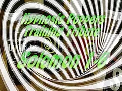 Тренер - на основе Соломона тренеров