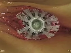 T-кисть - нефрит - queensnake.com - queensect.com