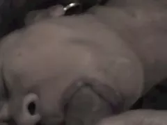 MFM минет часть i