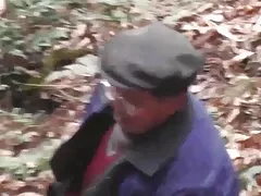 Вудс серии - дикий лес