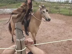 Мех, битья езда богини Ама k