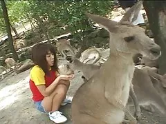Одноместный aoi005