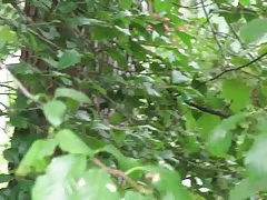 Наблюдая подросток соседа мама и попусту.