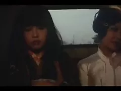 Леса влажные (1973)