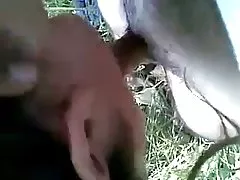Паки пуштунов ебать его gf в поле