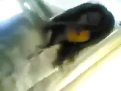 Бразильский транссексуал ride