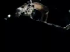 Грудастая ванна ночь не Уша