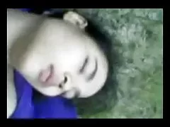 Малайский-на флаги политических партий