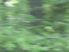 Мама видео порно онлайн трахнул пьяную подросток сосед во дворе