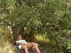 Элейн