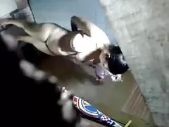 Индонезийский ИФОМ соседа в душе