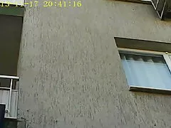 Лисели