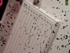 23 лет брюнетка с огромными сиськами поймали шпиона cam в ванной комнате