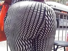 Черный белый леггинсы